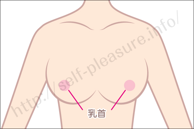 �Z���t�v���W���[�b�����ׂ̈̃I�i�j�[�E�Z�b�N�X�u��