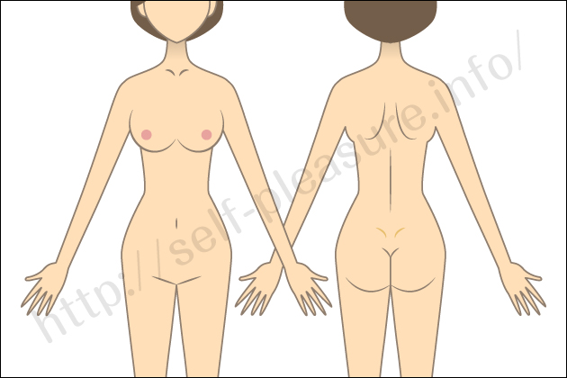 �Z���t�v���W���[�b�����ׂ̈̃I�i�j�[�E�Z�b�N�X�u��